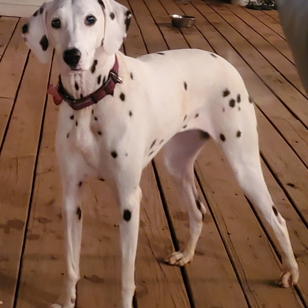 Meet your Posher, Catherine